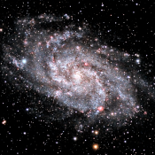 Submitted by Neill Mitchell