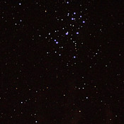 The Pleiades submitted by Bob Mizon