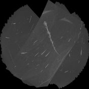 Lyrids and Bats submitted by Richard Bassom