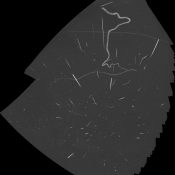 Lyrids and Bats submitted by Richard Bassom